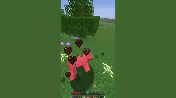 Minecraft: Getting A Random Item Every 10 Seconds (Part 1)