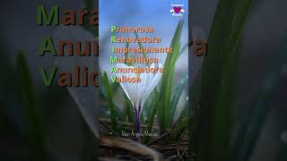 Spring Acrostic... 🎧 Good Wishes