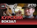 ПЬЯНАЯ ЖЕНЩИНА С ГРУДНЫМ РЕБЁНКОМ В КАФЕ | ДЕЖУРСТВО НА КУРСКОМ ВОКЗАЛЕ - РЕЙД 170