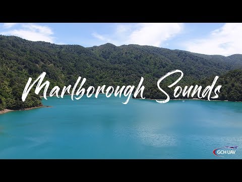 Video: Marlborough Soundsin ruokakierros