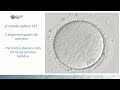 Uso de la inteligencia artificial en reproducción asistida - Simposio 2023 IN VITRO BA