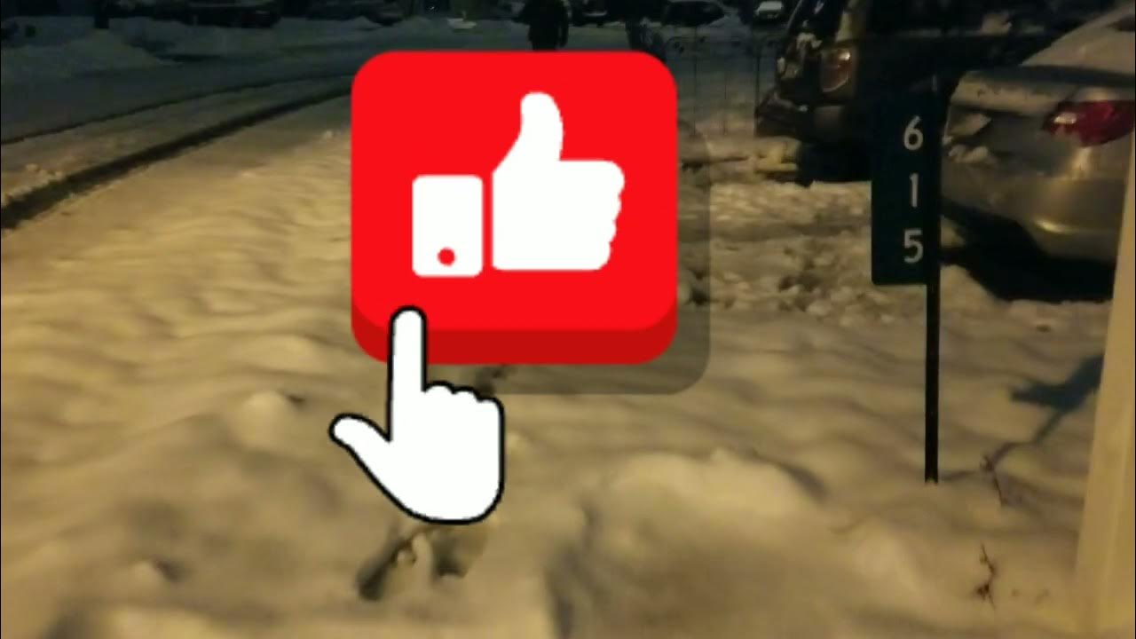 Evening walk after the snow 2024. YouTube