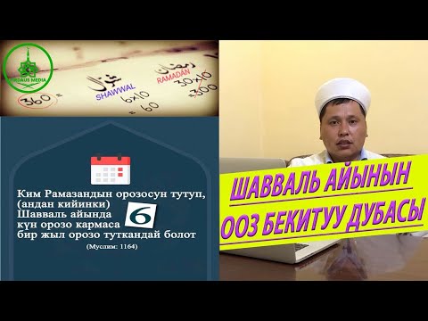 Машина дубасы кыргызча