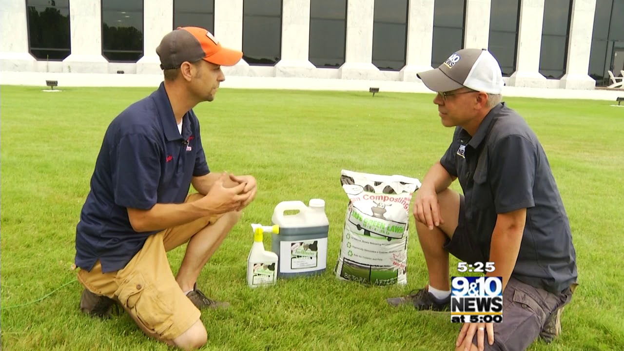 What’s Growing With Tom Lawn Care in Dry Times YouTube