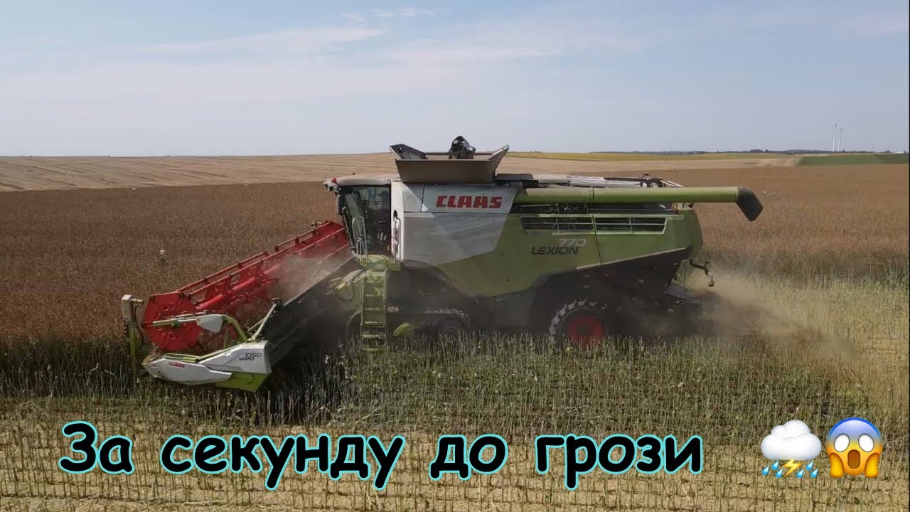 Ріпак ➕ Гроза ⛈️⛈️🟰 аграрний триллер 🫣😱