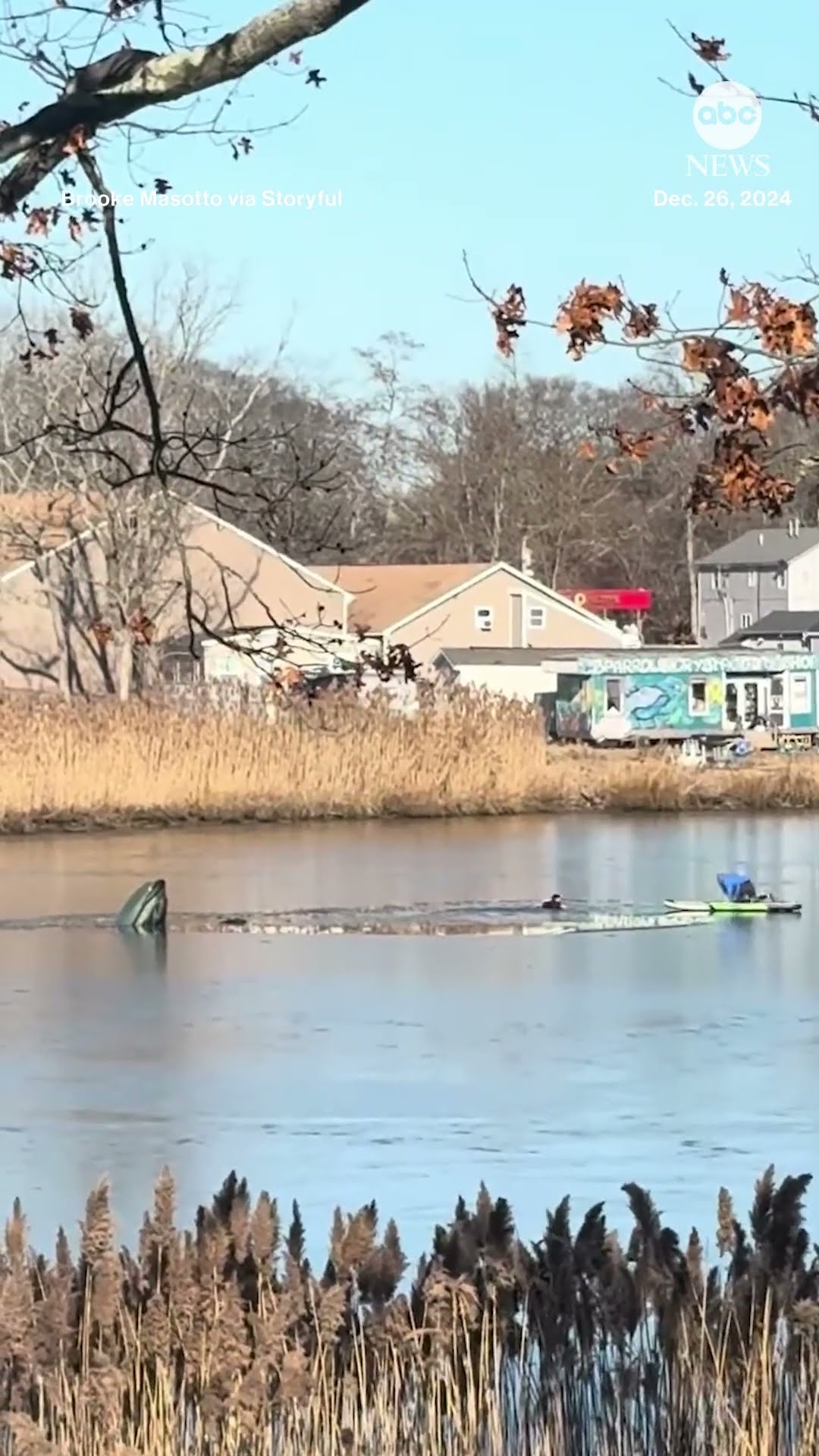 Woman helps rescue man who fell into creek