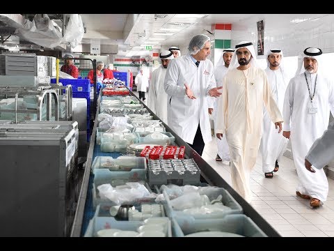  سير العمل في "الإمارات لتموين الطائرات" بالاغذية 