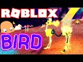 ROBLOX BIRD HEAD GETS LOOSE!!! + YOU WON'T BELIEVE What I SET on FIRE this time!