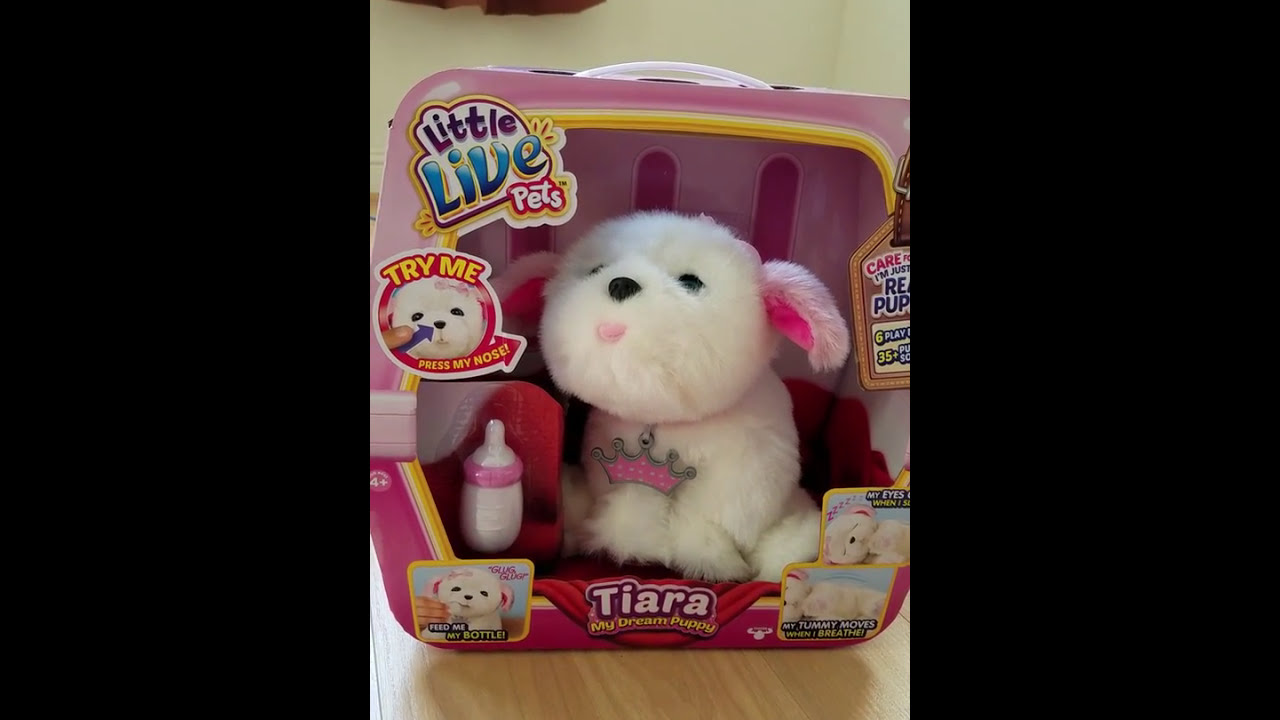 tiara my dream puppy