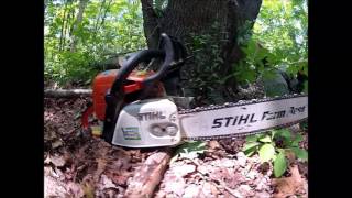How to cut down a maple tree in a tricky spot