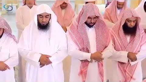 صوت رائع من تلاوة الشيخ وديع اليمني❤