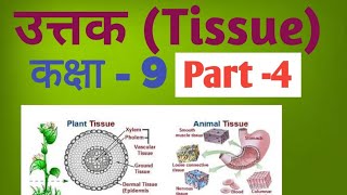 tissue, blood, wbc, rbc, platelet, part -4, class-9 animal cell