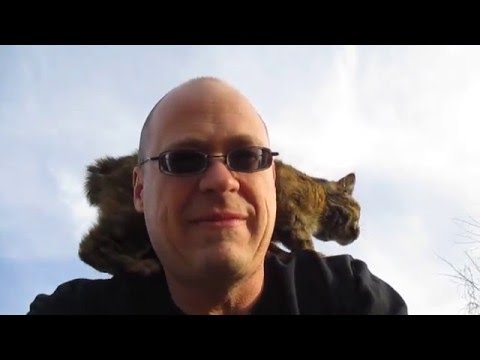 Lost Kitty Wouldn’t Stop Following Him Around, So He Decided To Take Her, But Then Days Later…