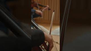 Some behind the scenes footage of the early recording sessions for Movement, Before All Flowers.