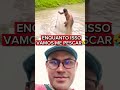 O mistério do lago 🤣