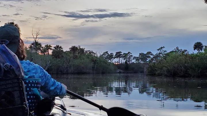 Hunting for Swordspine Snook #3 (Epic New Species Caught!)