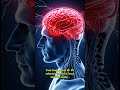 your brain lies to you every morning #discover #yourbody #new