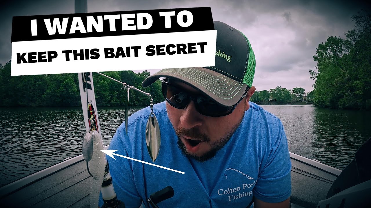 Spinnerbait Swimbait Hybrid? You Have To See This!