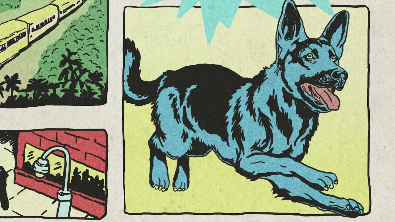 Pulover - Cuidado perro! akkorde