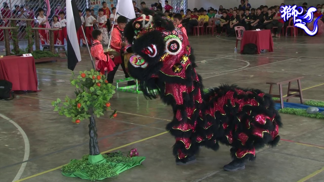 彭亨关丹双溪索培民华校醒狮团