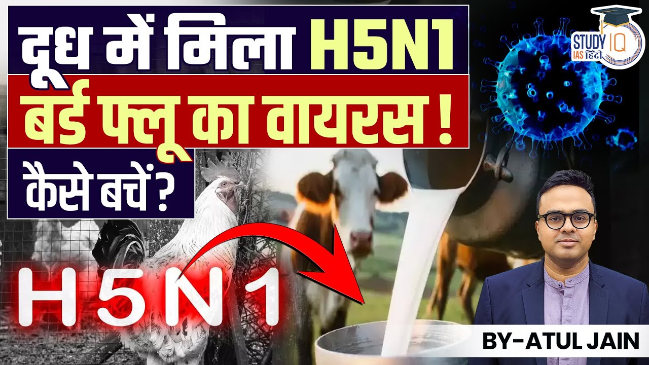 Virus of H5N1 Bird flu Found in Milk. How to Be Safe? | Atul Jain ...