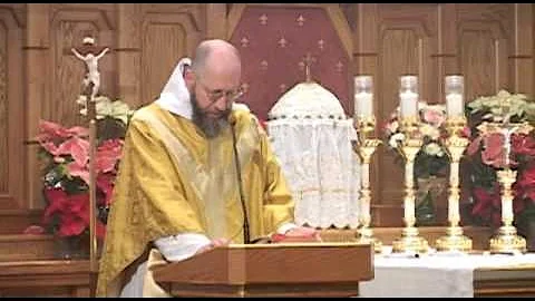 Jan 17 - Homily: Temples Dedicated to God