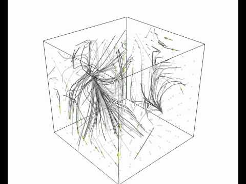 Multistability_Melibe_CPG.mov