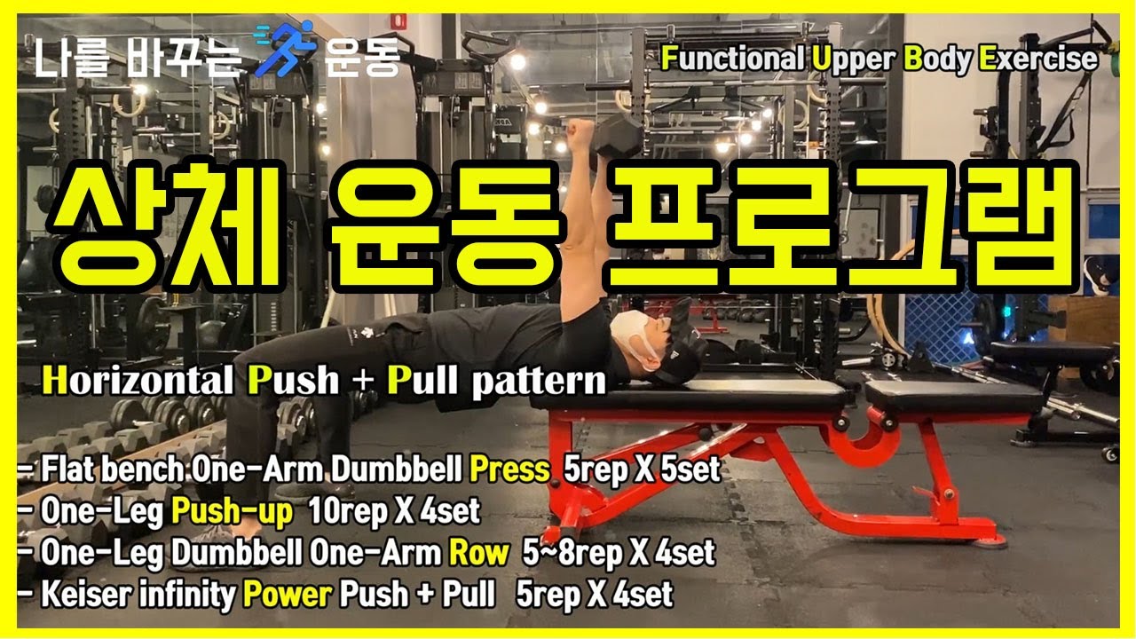 #대측안정화운동ㅣ상체수평밀기+당기기ㅣ가슴+등 운동ㅣ헬스운동프로그램