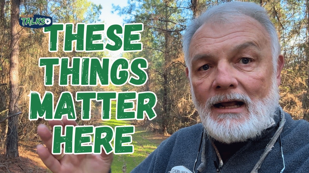 My Due Diligence for This Timberland