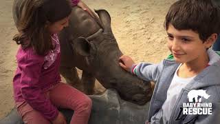 Videos - Baby Rhino Rescue