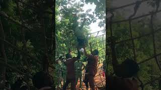 THE GROUND AND I ALMOST REUNITE🥹😭 #growthjourney #nysc #manowar #funnyshorts