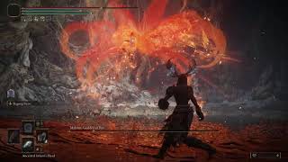 Beast Claws and a Baby's Head  vs. Malenia (Elden Ring)