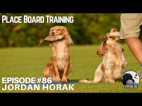 Podcast Short Episode 86 Jordan Horak on Place Board Training