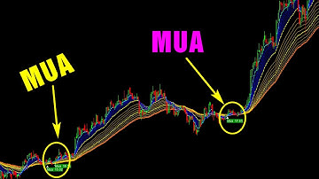 F186 - Rồng sinh đôi tạo ra tín hiệu có độ tin cậy cao và loại bỏ tín hiệu nhiễu  | Code Ambroker