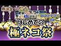 【無課金vs課金】始めたての人が極ネコ祭でとんでもない引きをしちゃいました...【にゃんこ大戦争】【ゆっくり実況】