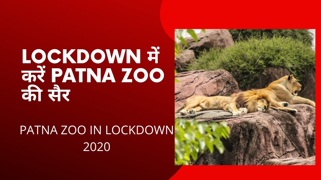 Lockdown में करें Patna Zoo की सैर Patna Zoo Sanjay Gandhi Jaivik