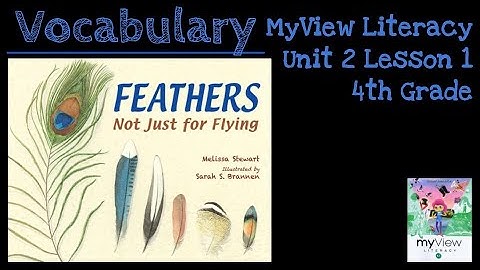 Feathers Not Just for Flying - Vocabulary - SAVVAS MyView Literacy - Unit 2 Lesson 1 - 4th Grade