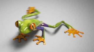 Frog animation test