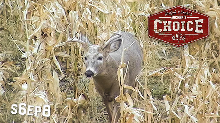 Archer's Choice - You Betcha Bucks & Ducks // S6: Episode 8