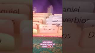 Separadores de libros para Biblia 💗💌 #asmrcristiano #biblia #manualidades #separadores #libros