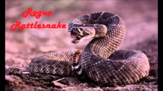 Rogue - Rattlesnake [30 minutes version]