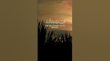 سورة المائدة الآية 17 بصوت القارئ محمد الفقيه