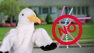 Say No To Single-Use Plastics