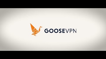 GooseVPN: Eenvoudige Handleiding - Hoe voeg ik een netwerk toe als 