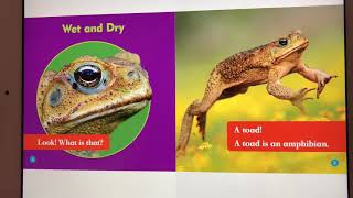 Read book aloud ( Amphibians)