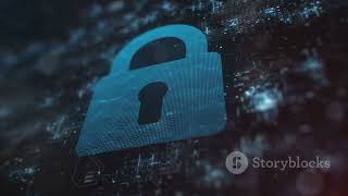 Chapter 10  Privacy and Security in Electronic Age