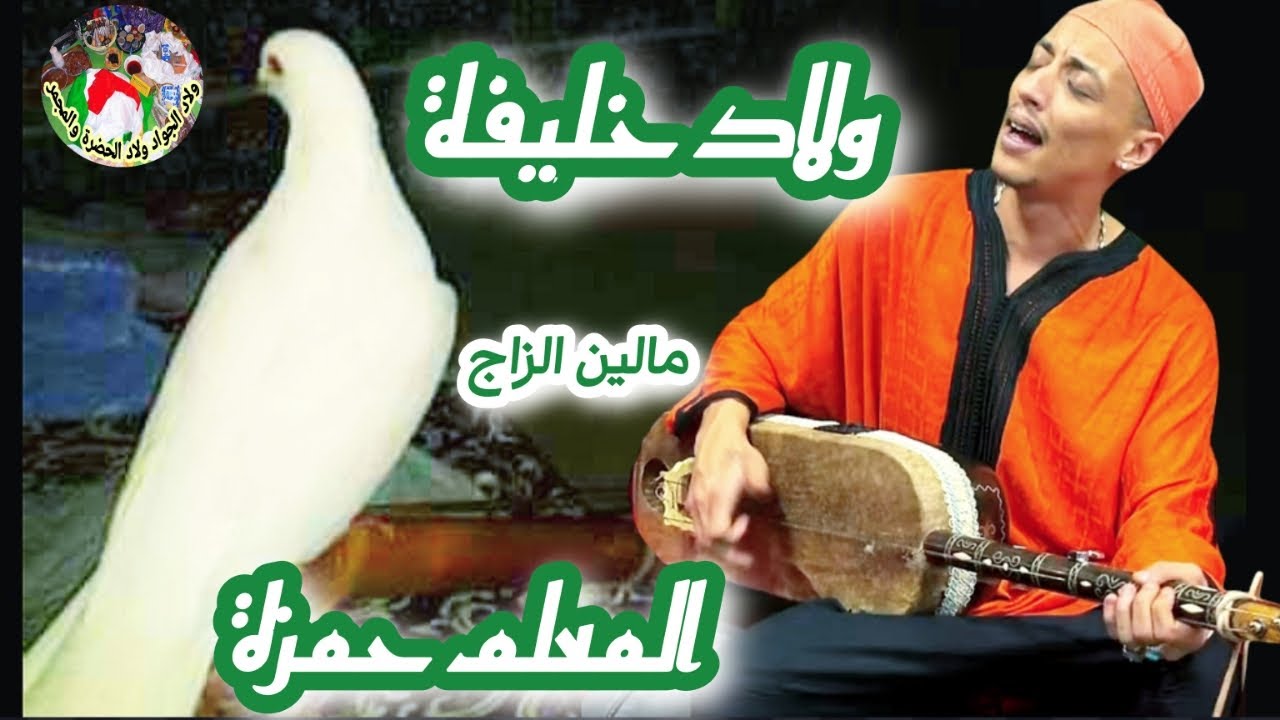 Wlad khlifa Maalem Hamza ولاد خليفة مالين الزاج من ليلة ݣناوية حية مع المعلم حمزة