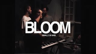 SMALL X  SAIB  BLOOM Visualiser