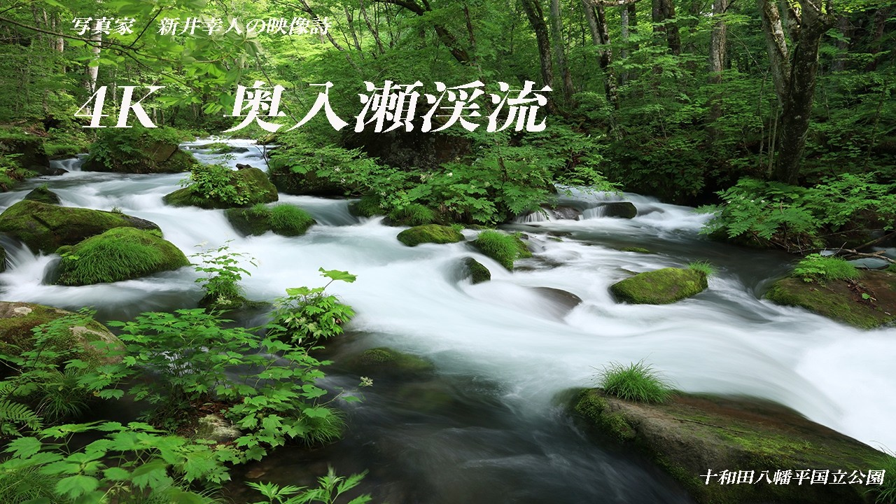 4K ] 奥入瀬渓流 緑の渓流音と野鳥のさえずり・十和田八幡平国立公園