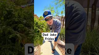 You won’t believe what Dad used for this joke 🪠😂 #funny #dadjokes #shorts
Need a good laugh? Grab a toilet brush and settle in for some classic dad jokes.
I’m sharing my favorite quick jokes about dogs, fish, and everything in between from the garage. This is perfect if you need a lighthearted break or just enjoy terrible puns.
Subscribe for more dad jokes every Friday!
#mrfredsdiy You won’t believe what Dad used for this joke 🪠😂 #funny #dadjokes #shorts